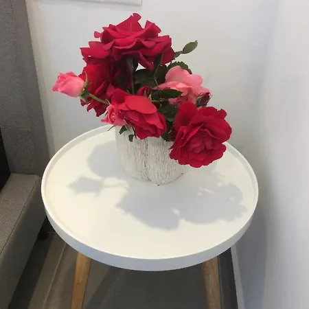 Flora In Paros * Νάουσα