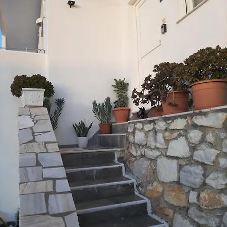Flora In Paros *
