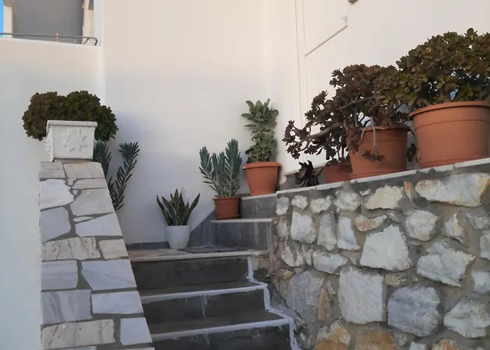 Flora In Paros *