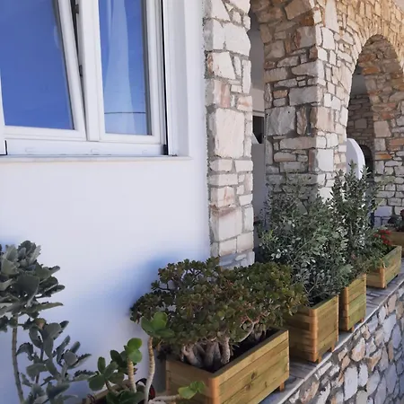 Flora In Paros 別荘 ナウサ