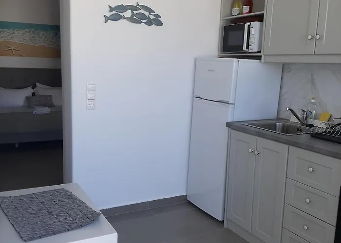 Flora In Paros Casa de Férias